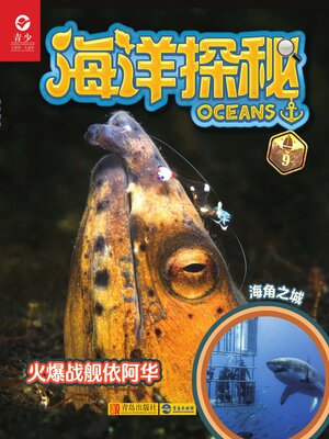 cover image of 火爆战舰依阿华